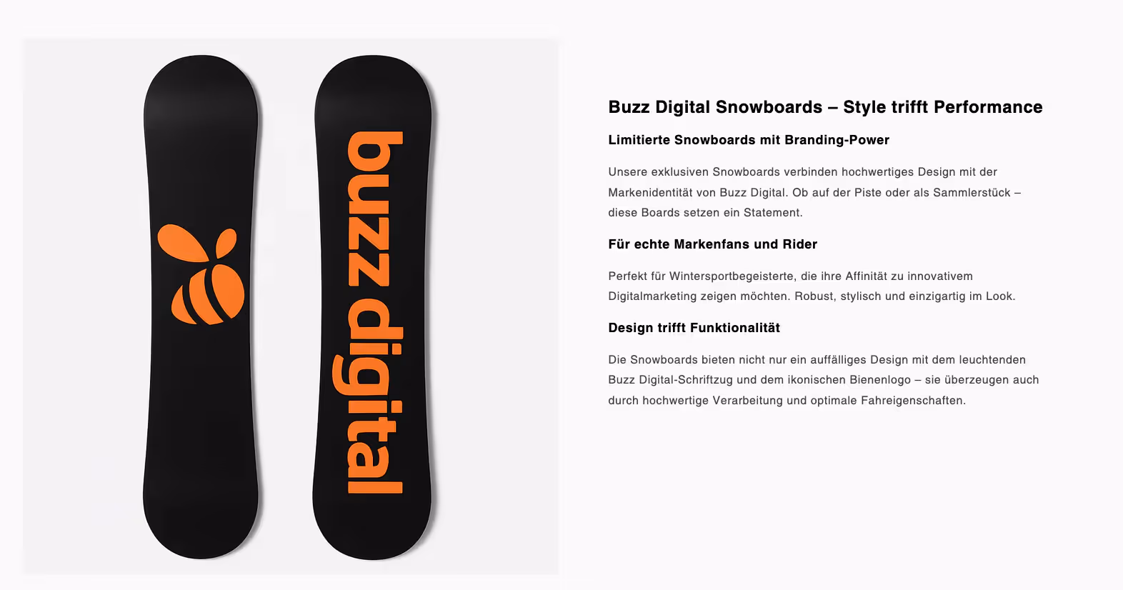 Shopify Endergebnis Metaobjekt mit Bild und Text als Collection. Praxisbeispiel Buzz Digital.