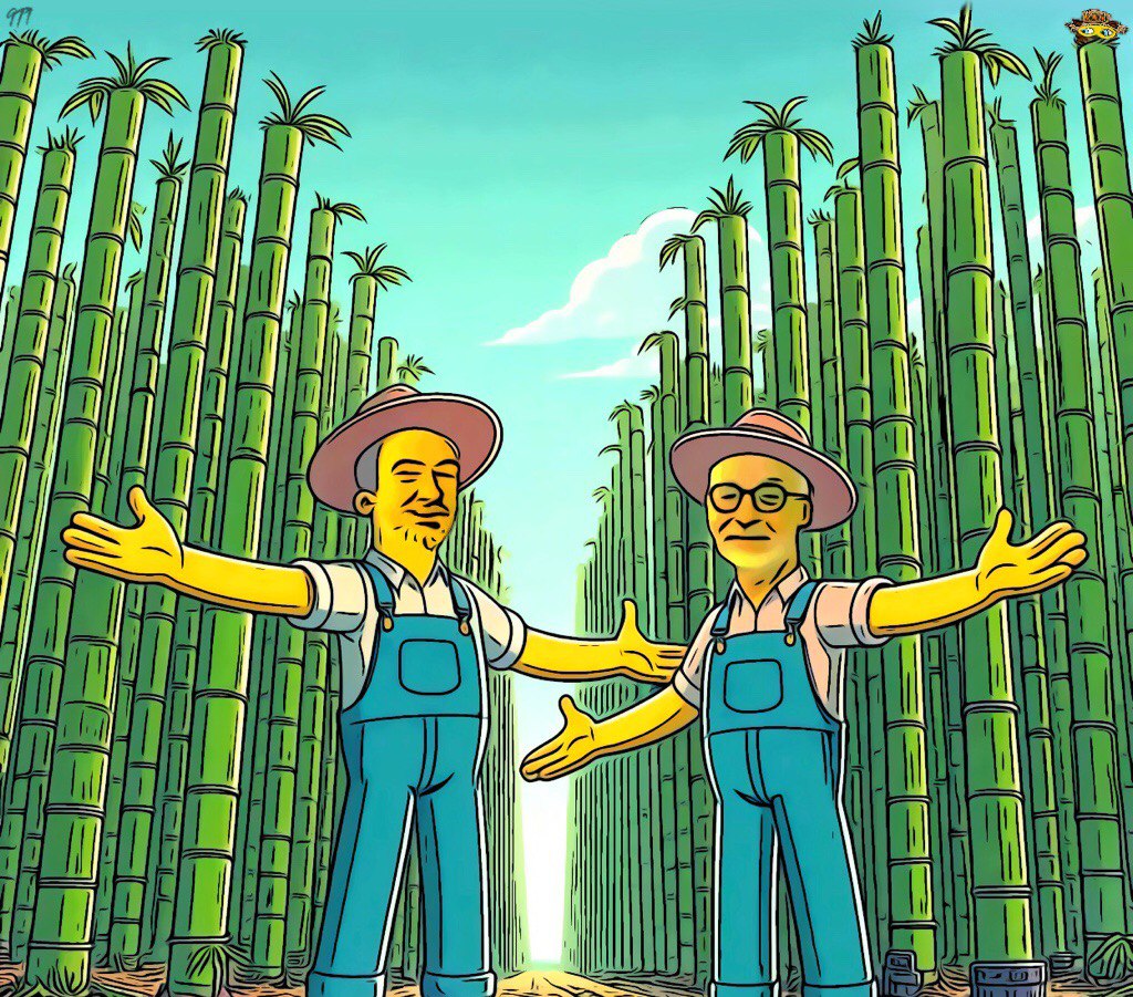 Growth Bamboo 589