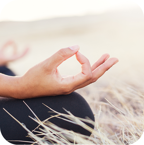 A photo showing a person's hand when doing yoga on the grass