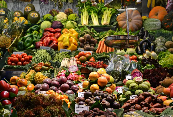 lots of fruit