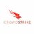 CrowdStrike Logo Icon