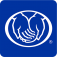 Allstate Logo Icon