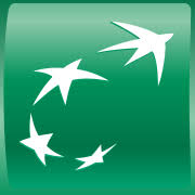 BNP Paribas Logo Icon
