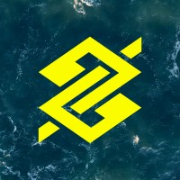 Banco do Brasil Logo Icon