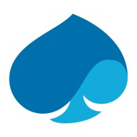 Capgemini Logo Icon