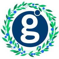 Global Payments Logo Icon