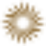 Las Vegas Sands Logo Icon