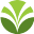 Olam Group Logo Icon