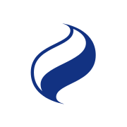 SSE Logo Icon