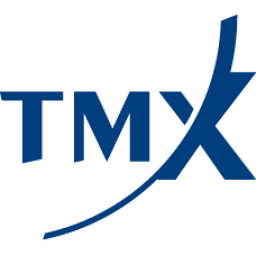 TMX Group Logo Icon