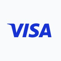 Visa Logo Icon