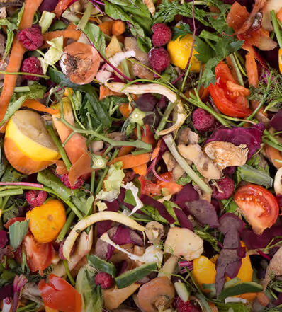 Green Waste Processing and Composting