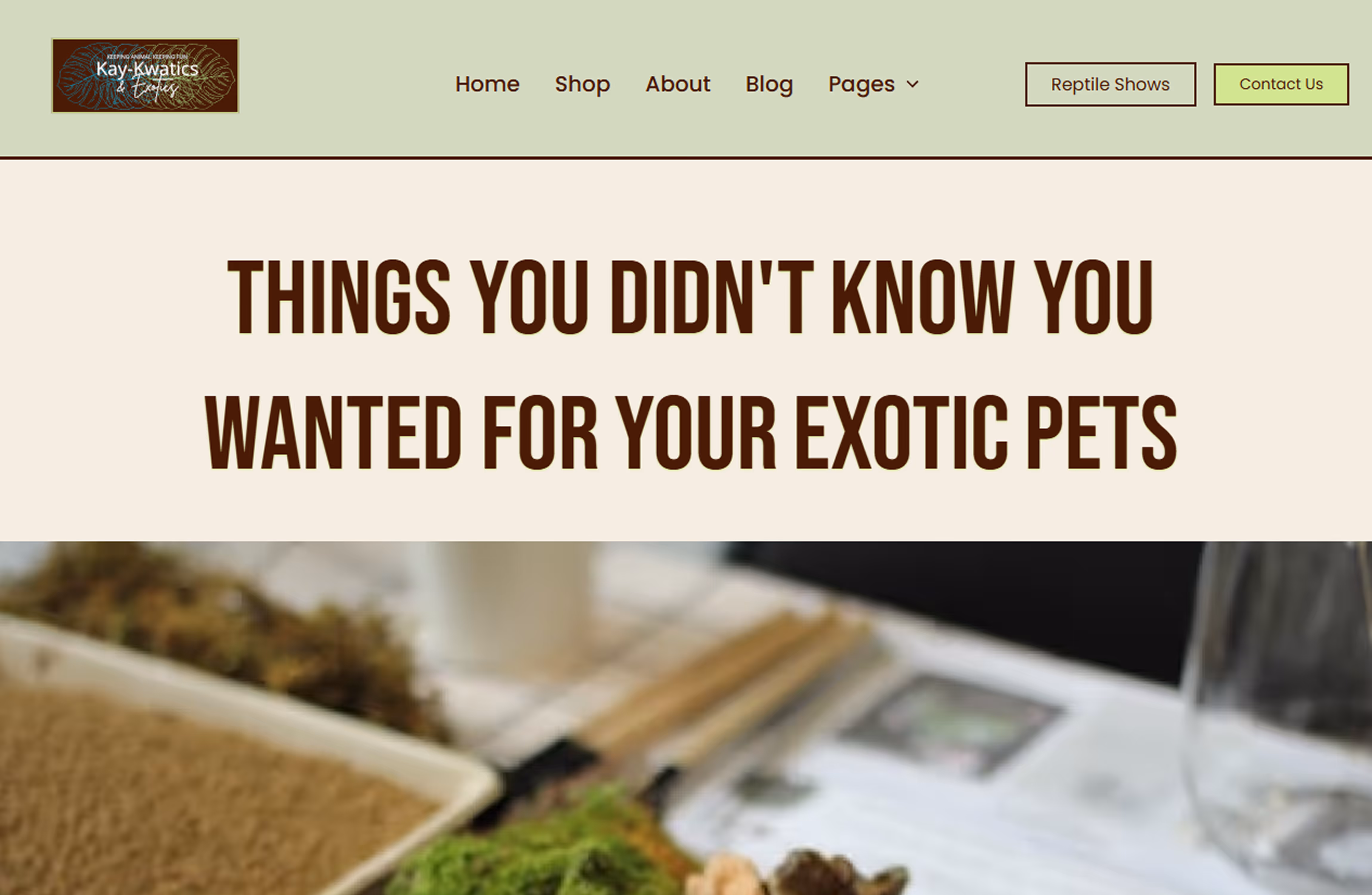 Exotic pet supplies website header with substrate and moss materials
