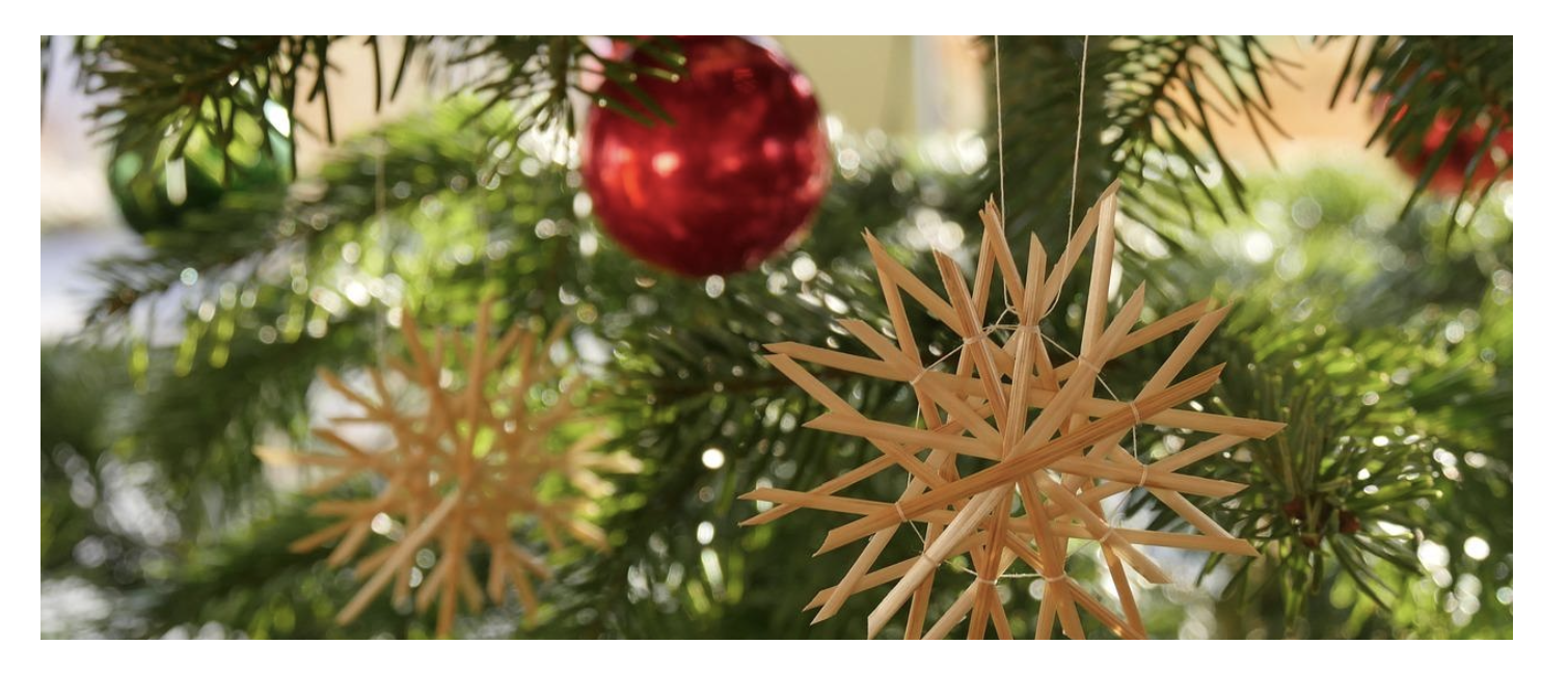 Winter 2025 - The Shepherd's Voice