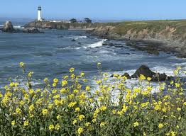 Day Trip to Half Moon Bay