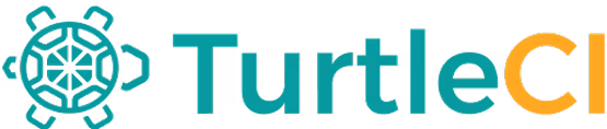 Our client - TurtleCI