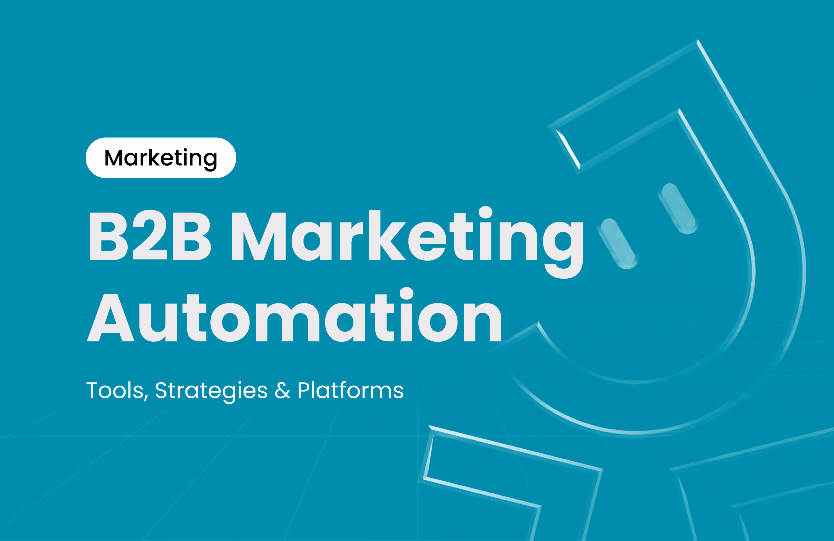 B2B Marketing Automation: Tools, Strategies & Platforms