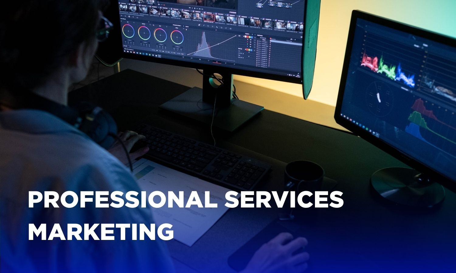 What is professional services marketing?
