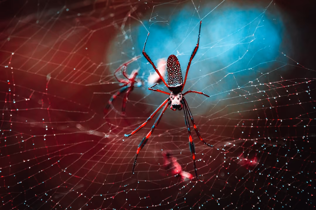 Web of connections that underpin success in eCommerce strategies