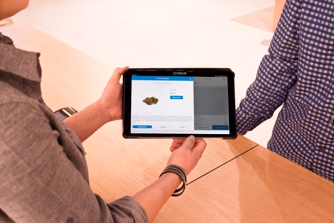 Navigating digital landscapes to enhance user experience and clarity