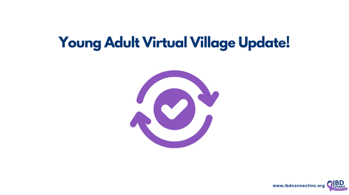 Young Adult Virtual Village Update!