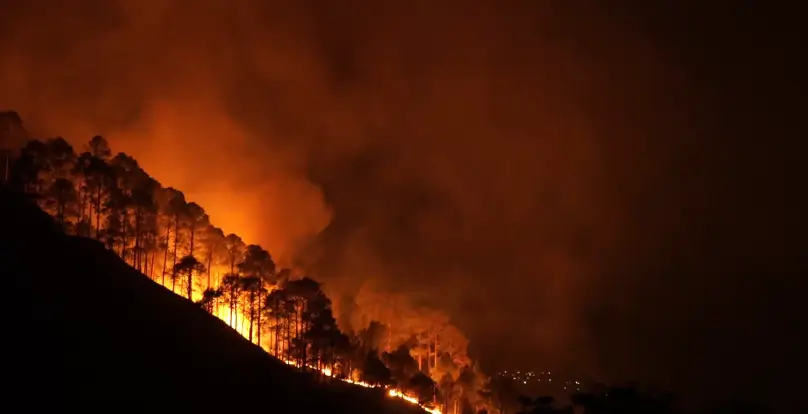 How to Better Detect and Predict Wildfire Impact and Spread