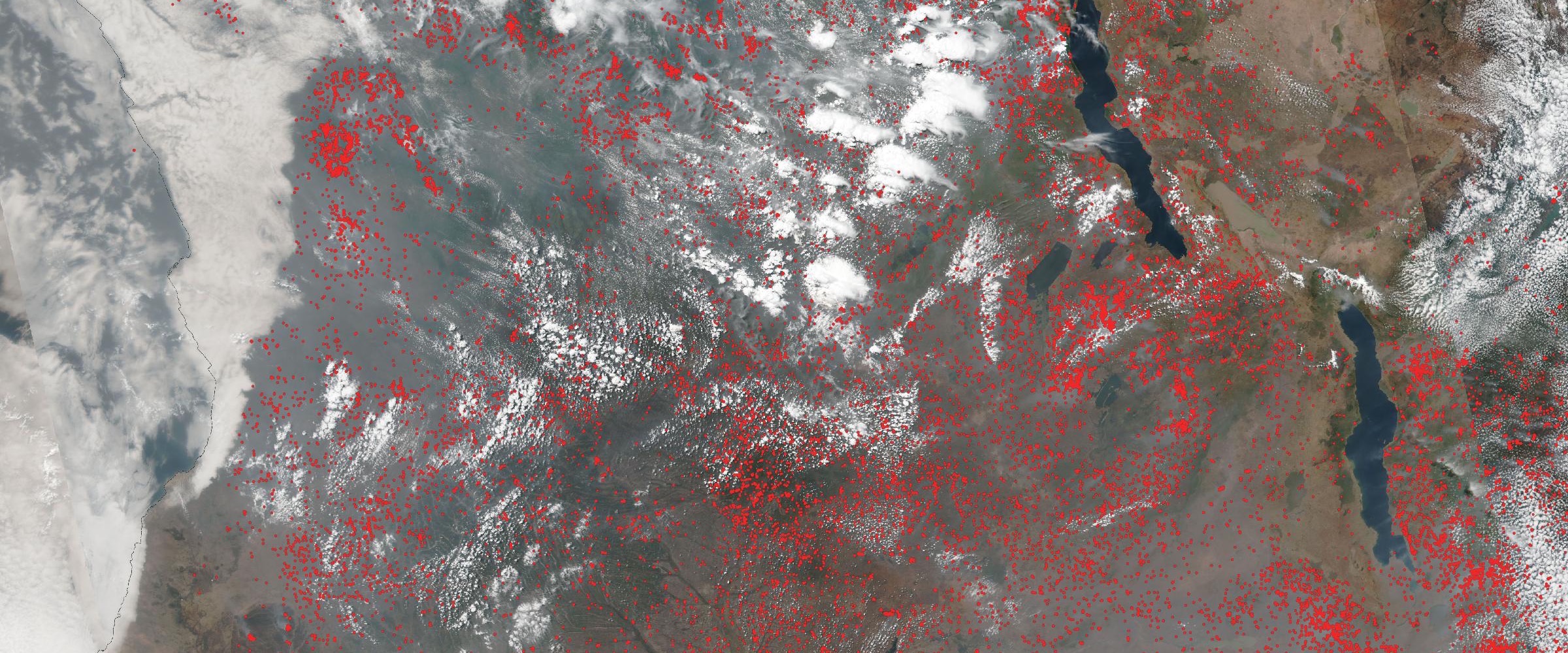 The Fire Belt Nobody Watches: 1,168 Wildfire Detections Across Southern Africa in Ten Days