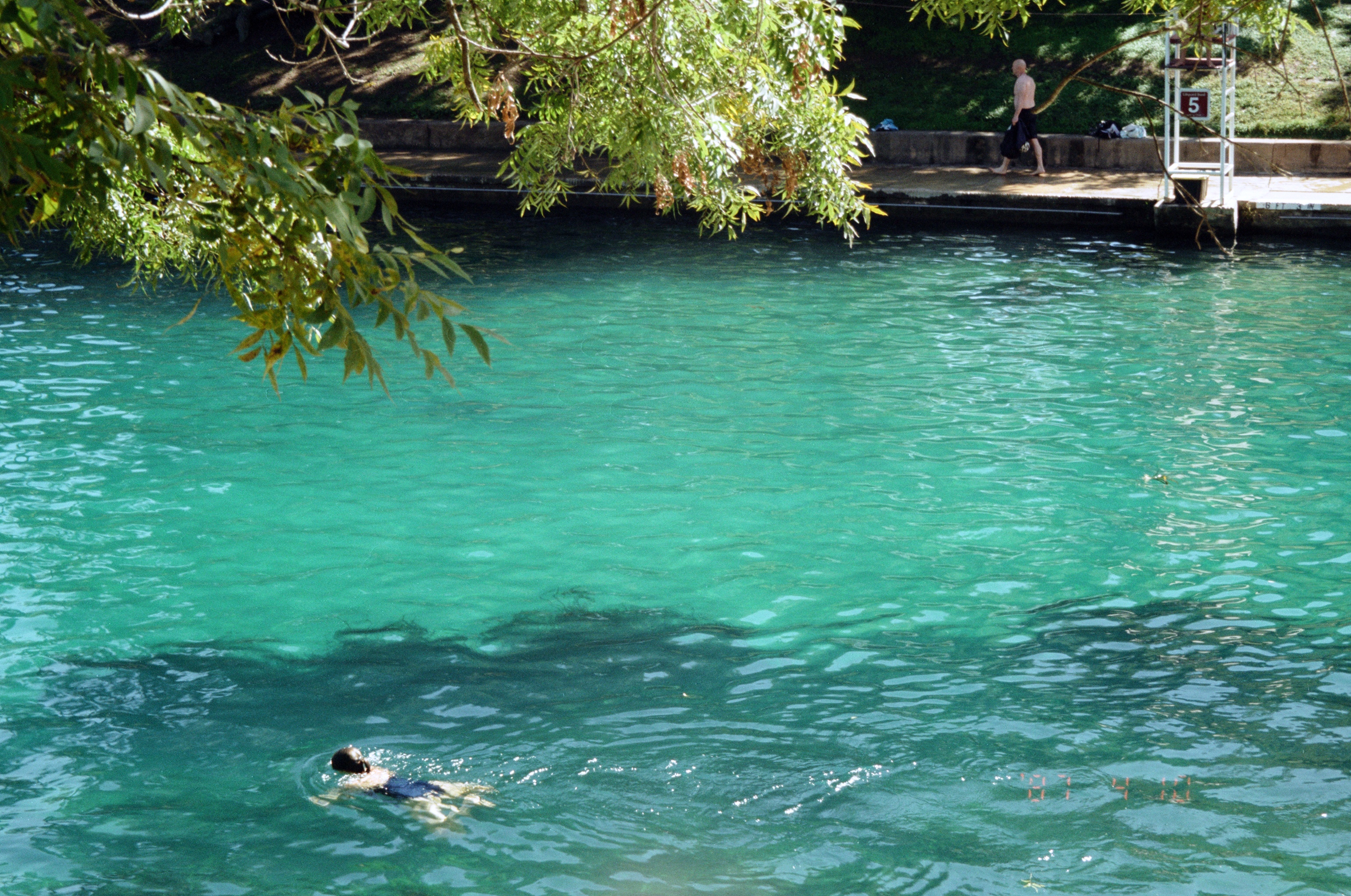 Swimming in Barton Spring