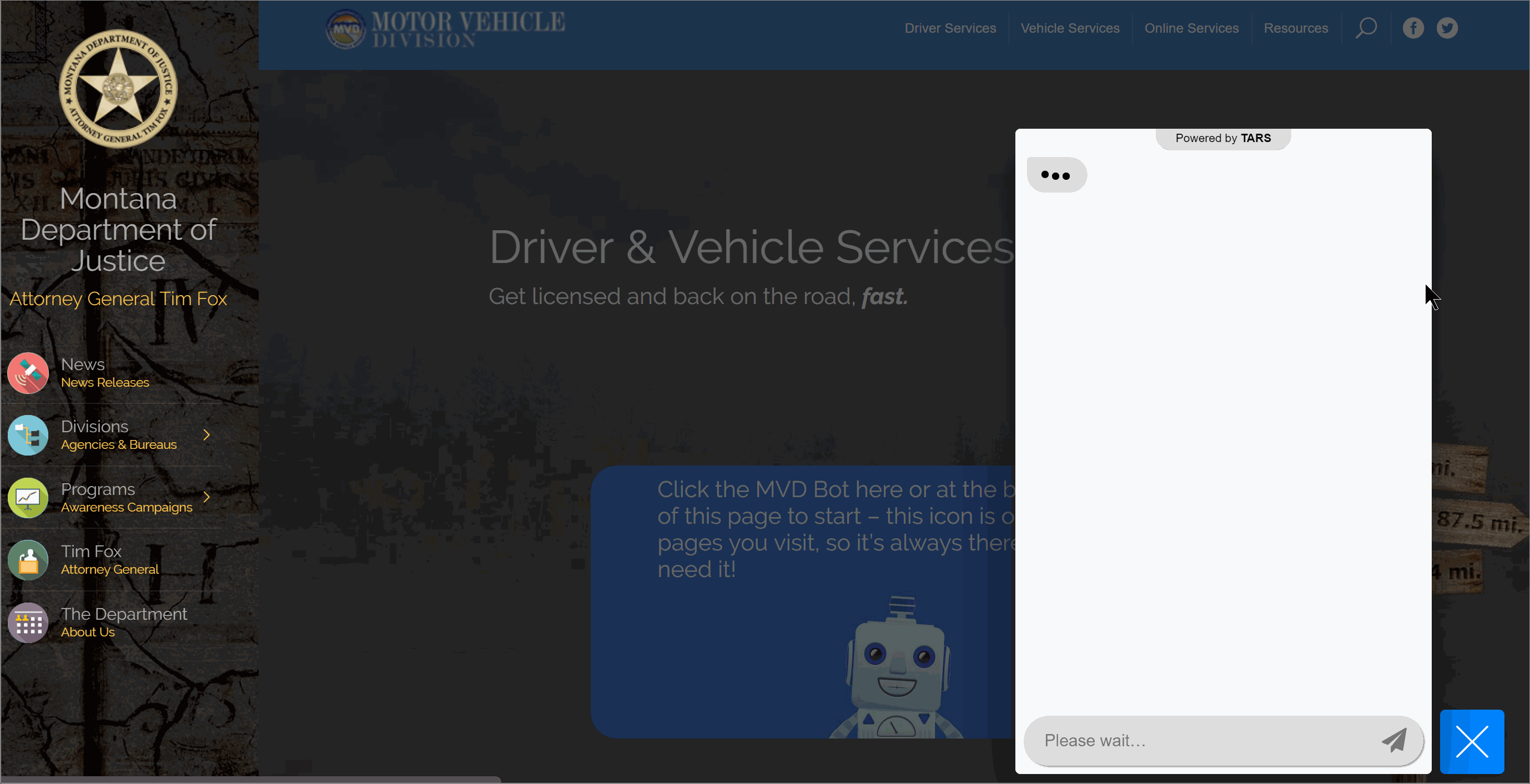 Your Chatbot needs a better home : It’s your Website
