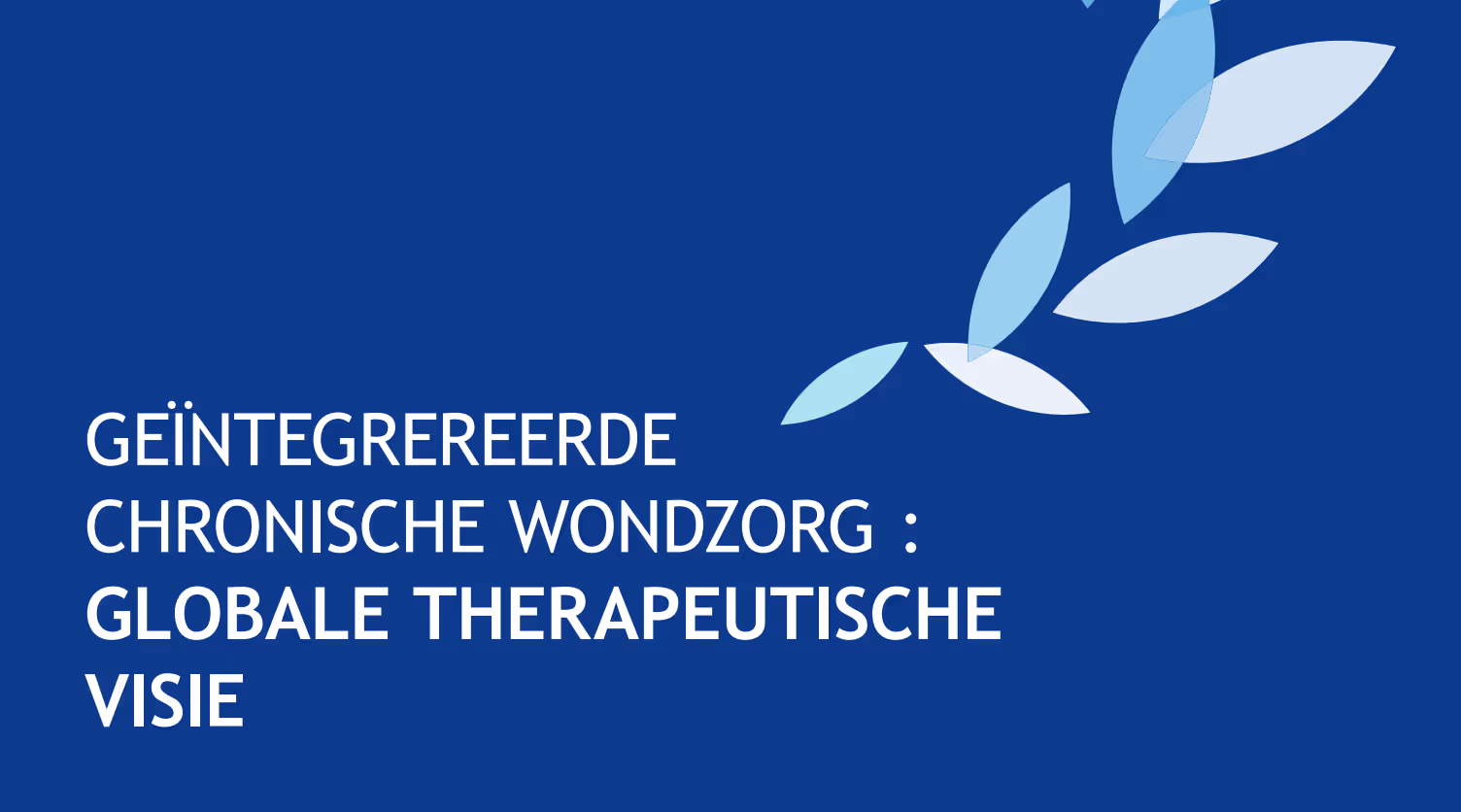 Geïntegreerde chronische wondzorg whitepaper