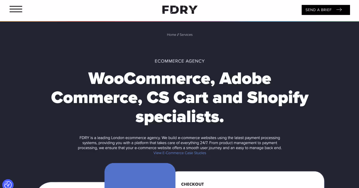 ecommerce-web-design-agency-fdry
