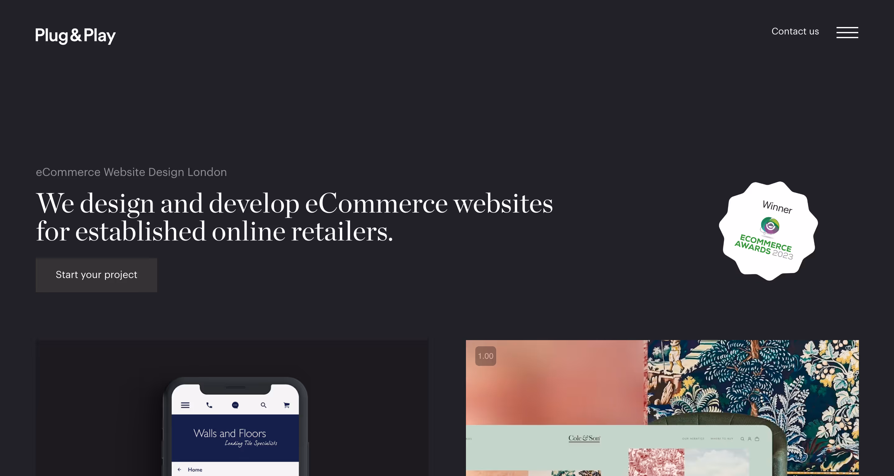 Plug and Play Ecommerce web design agency 