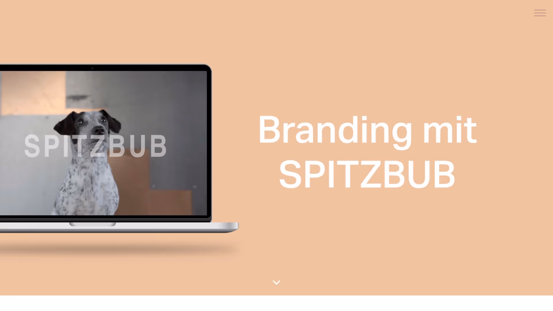Spitzbub