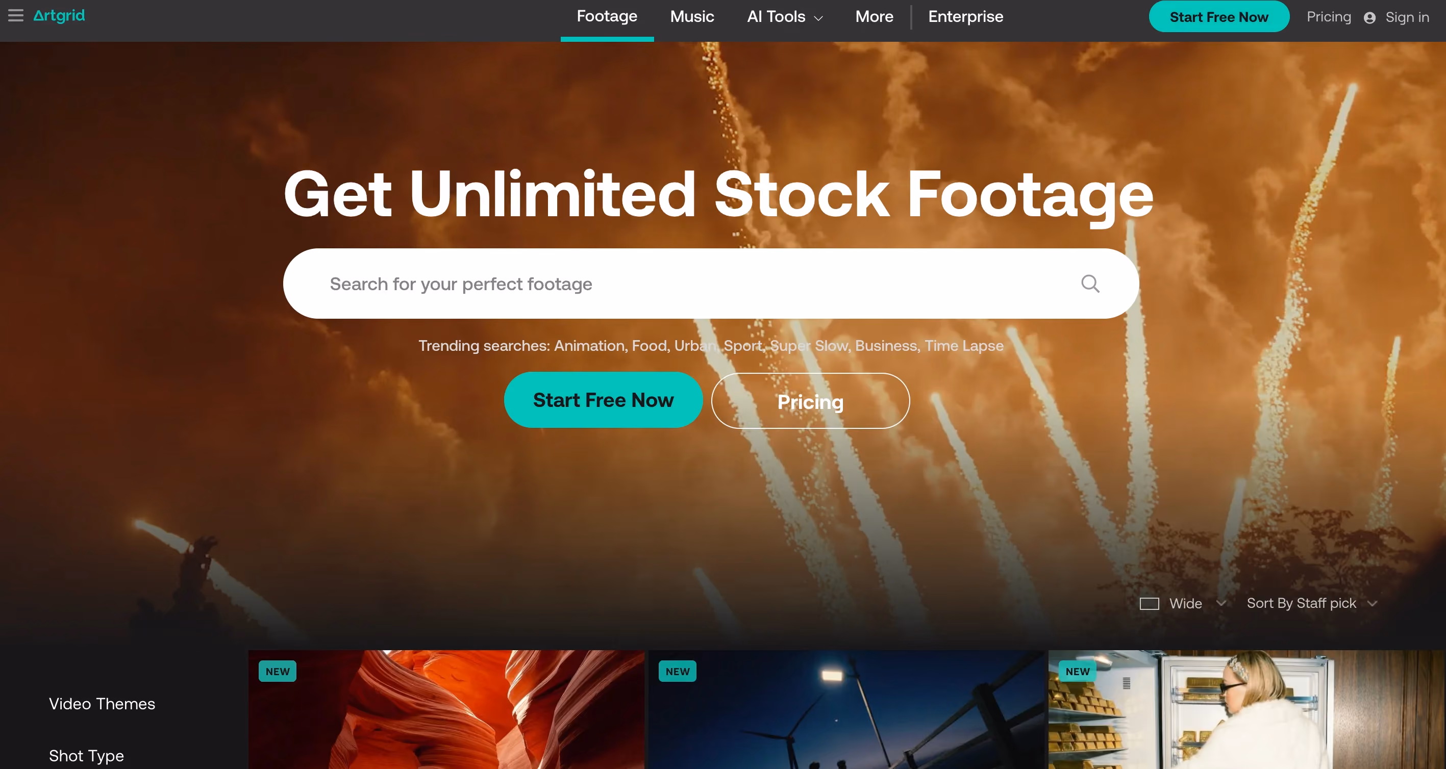 Artgrid homepage showing a search bar for stock footage with trending searches like Animation, Food, Urban, Sport, and Time Lapse, along with Start Free Now and Pricing buttons