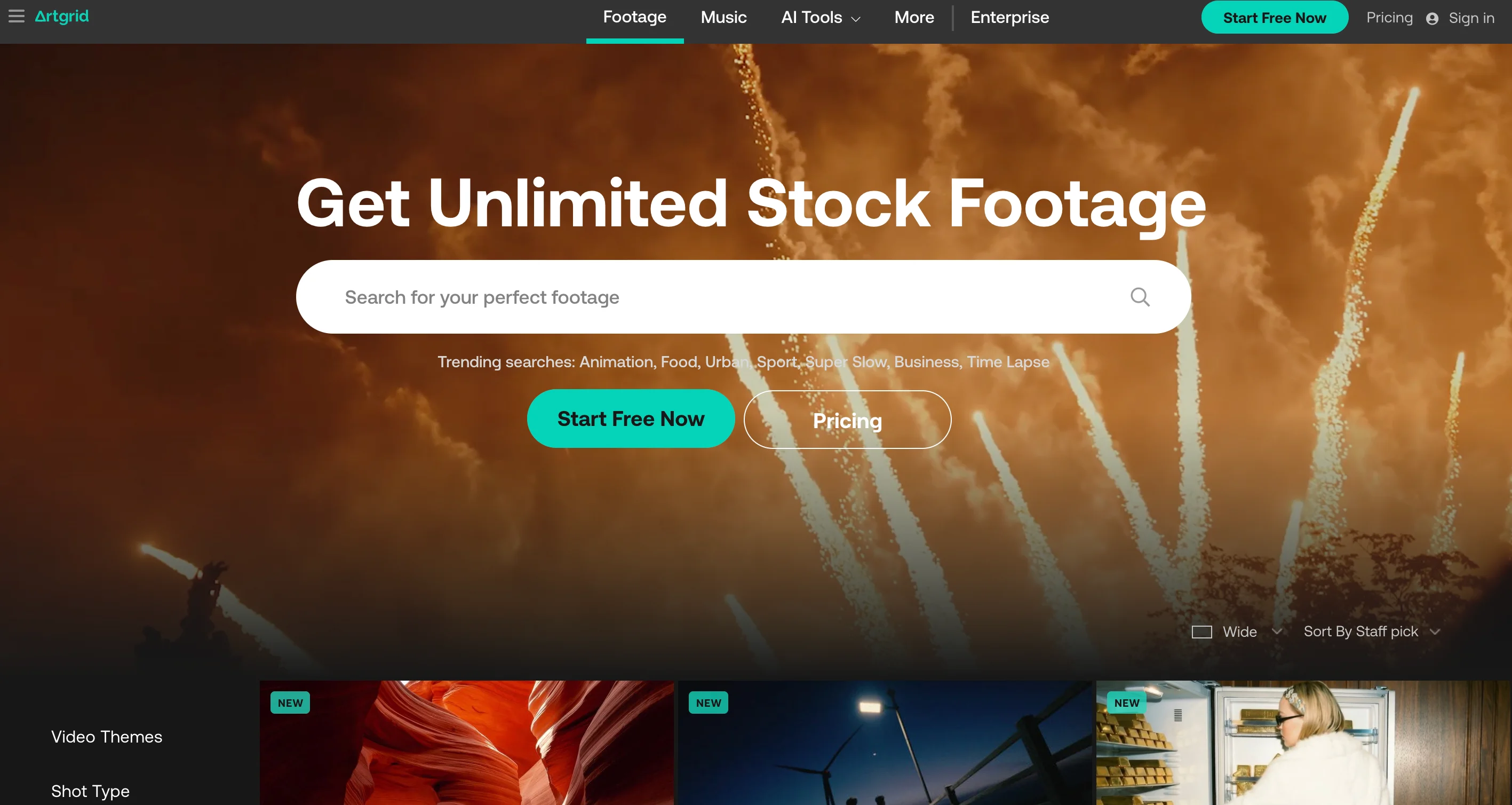 Artgrid homepage showing a search bar for stock footage with trending searches like Animation, Food, Urban, Sport, and Time Lapse, along with Start Free Now and Pricing buttons