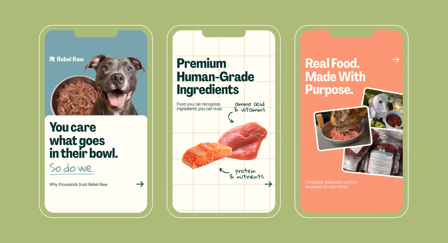 Three mobile ad story creatives for Rebel Raw designed by magier, showcasing product photography with messaging about premium human-grade ingredients and balanced pet nutrition