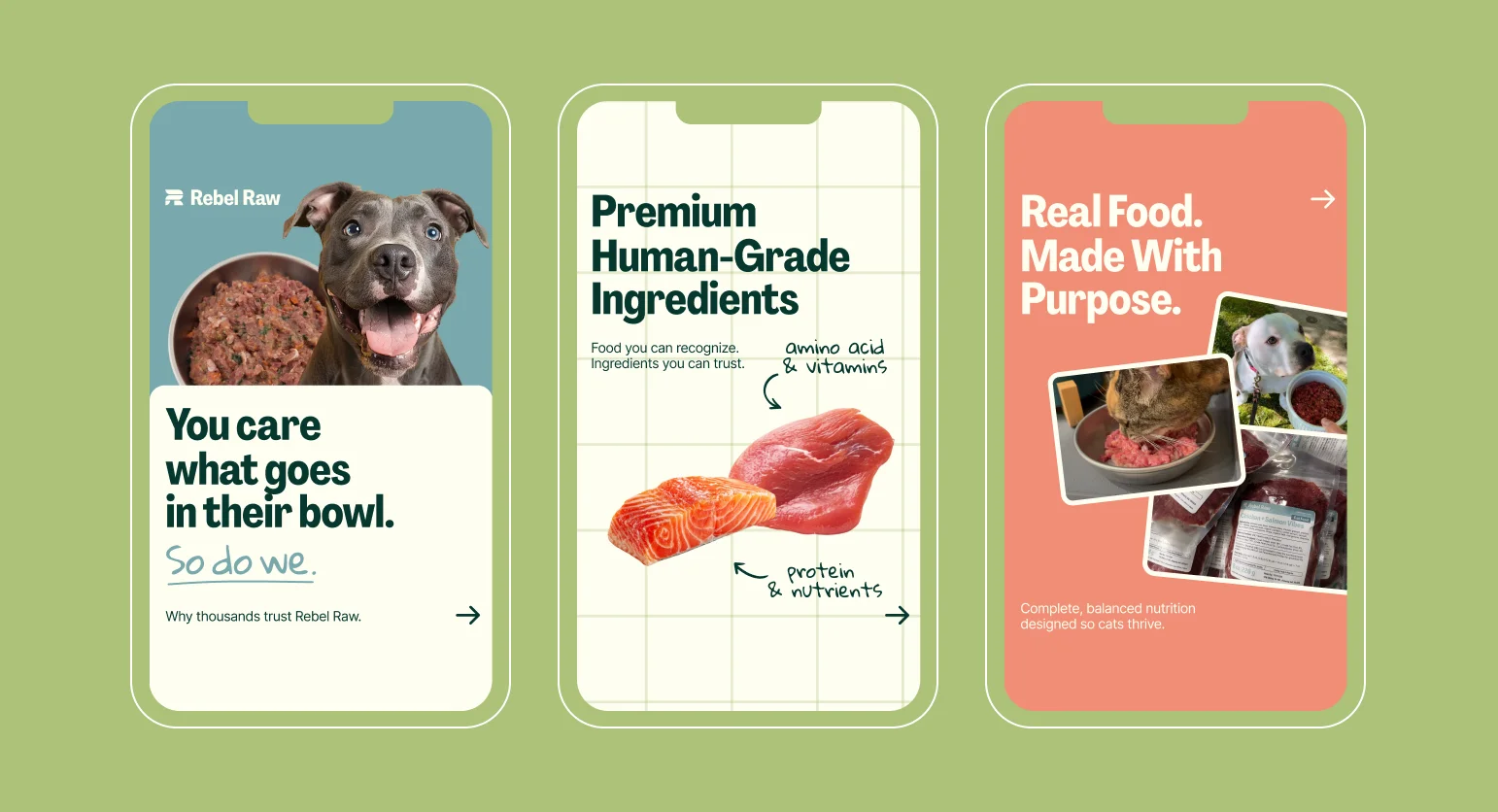 Three mobile ad story creatives for Rebel Raw designed by magier, showcasing product photography with messaging about premium human-grade ingredients and balanced pet nutrition