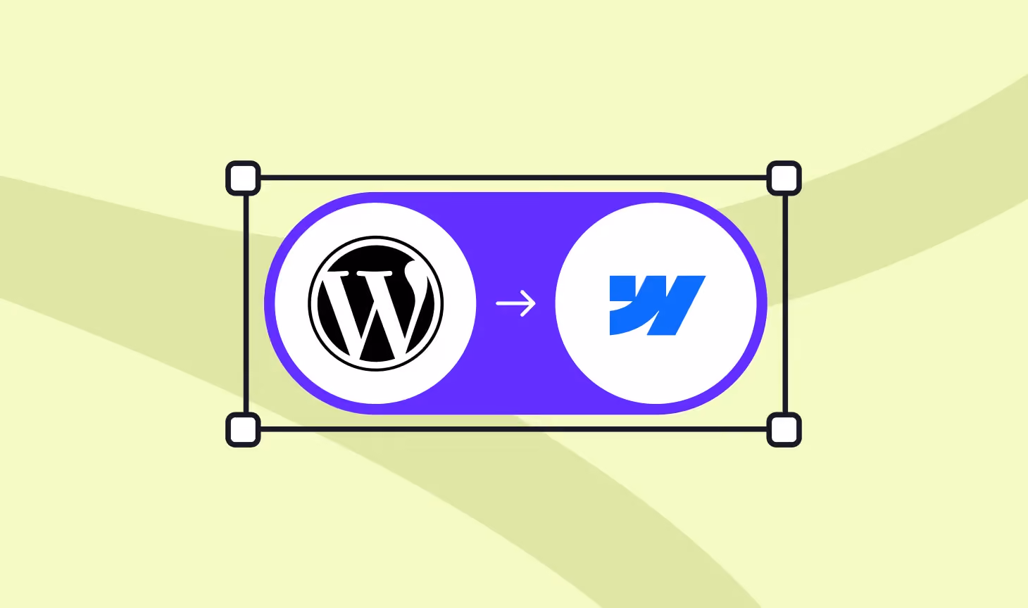 WordPress to Webflow Migration Guide