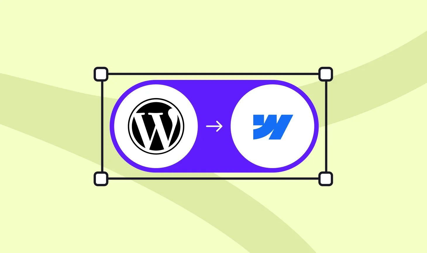 Wordpress to Webflow Migration Guide