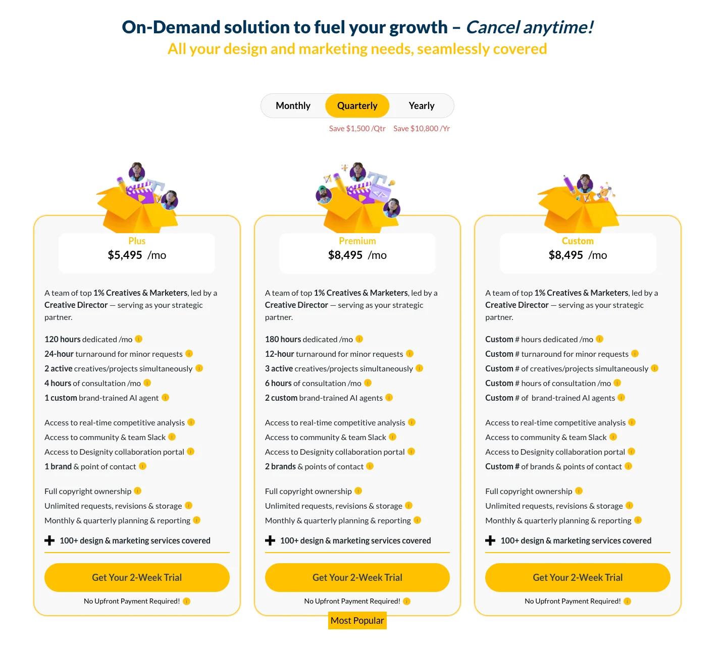 designity pricing