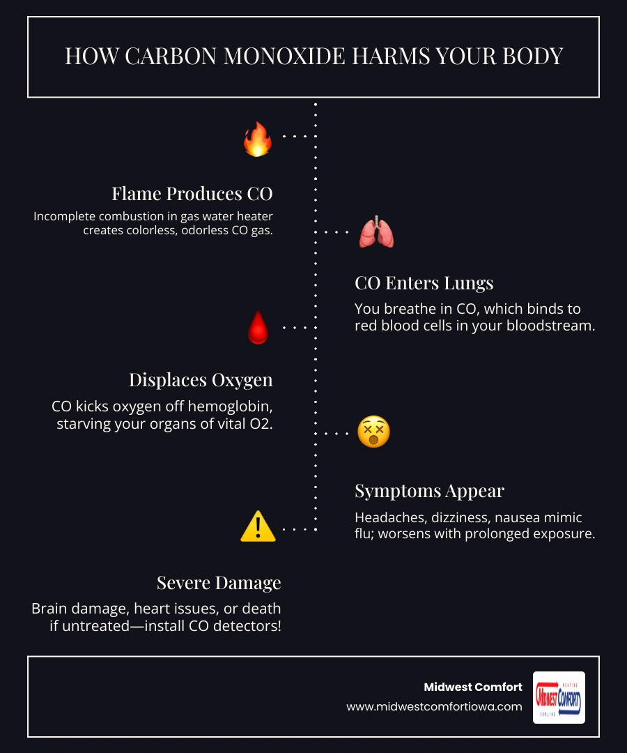 infographic showing how carbon monoxide displaces oxygen in the bloodstream and common warning signs from a gas water heater infographic showing how carbon monoxide displaces oxygen in the bloodstream and common warning signs from a gas water heater