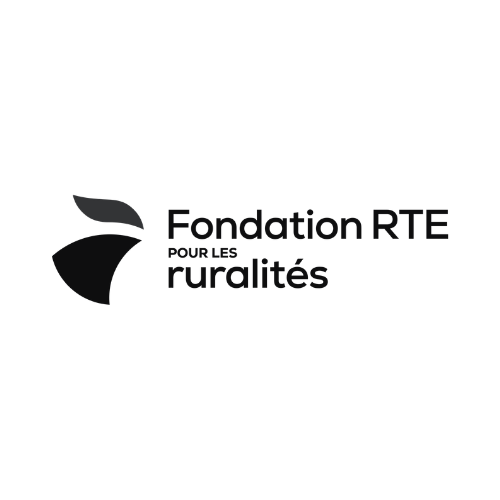 logo de la fondation rte