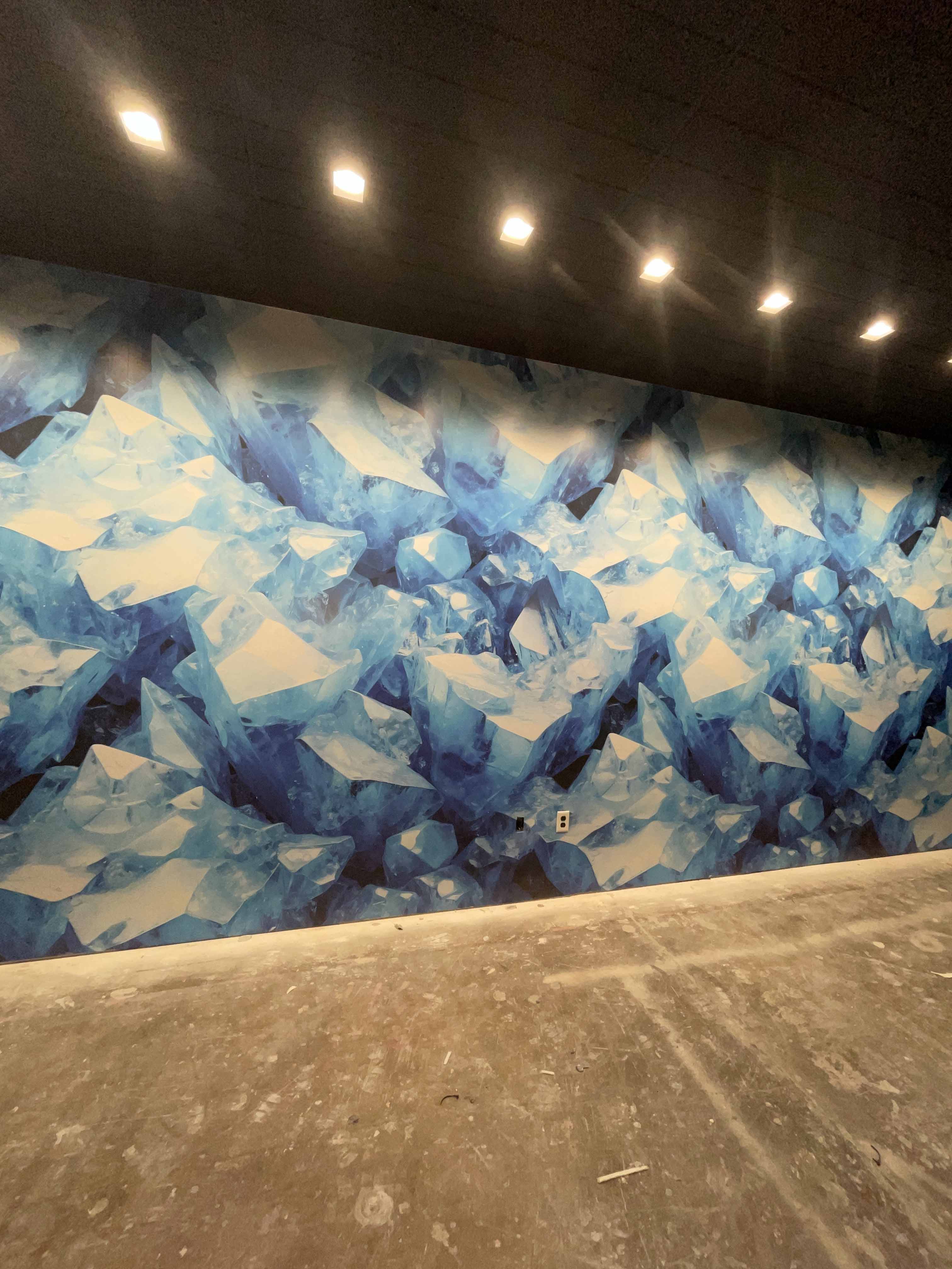 EoS Tempe, AZ Month 7 Progress Photo 1