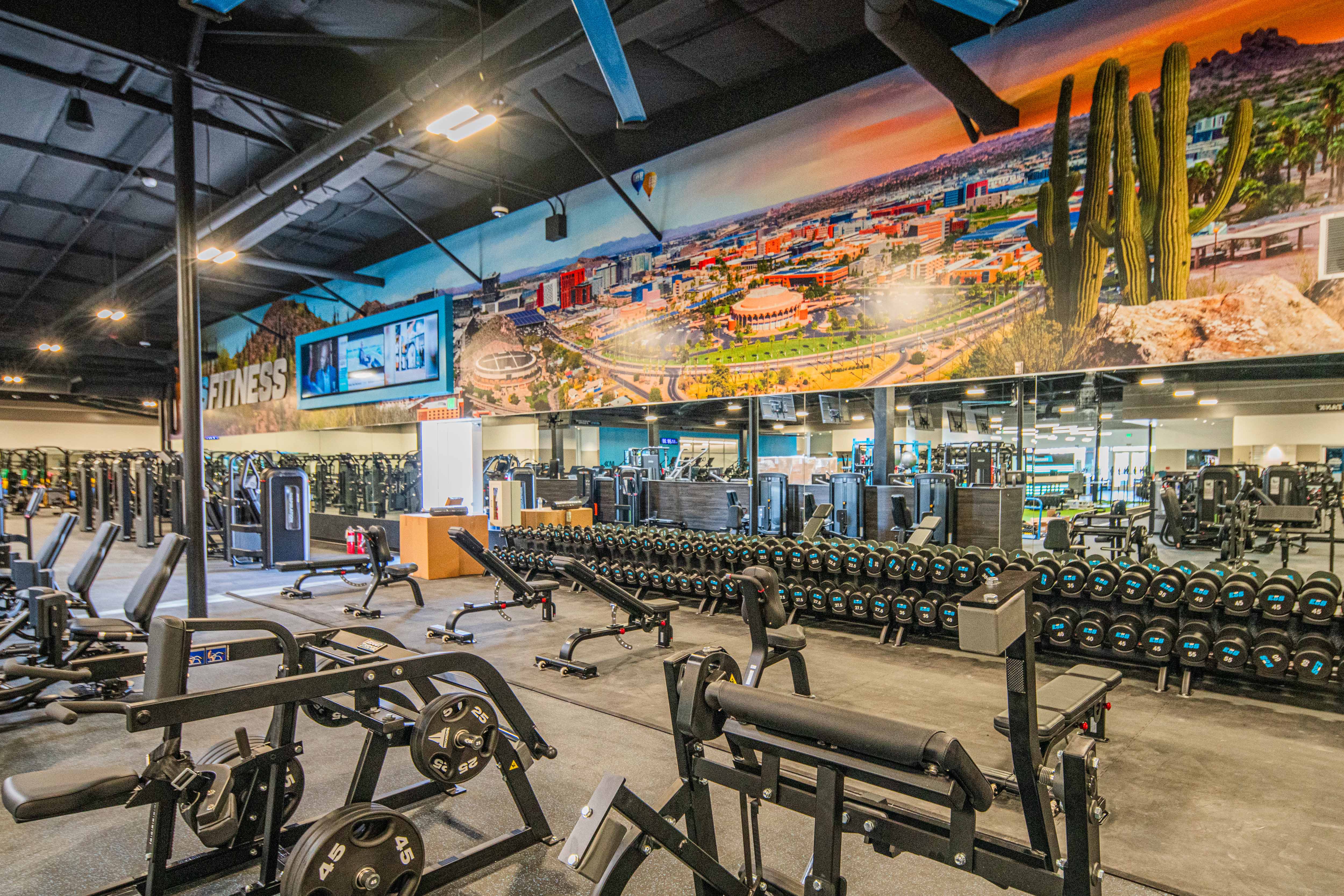 EoS Tempe, AZ Month 8 Progress Photo 3