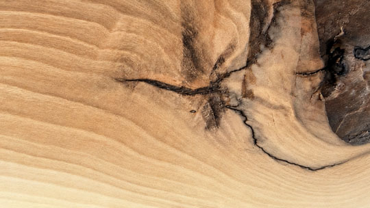 Close-up of walnut solid wood surface showing natural grain patterns and dark knots.