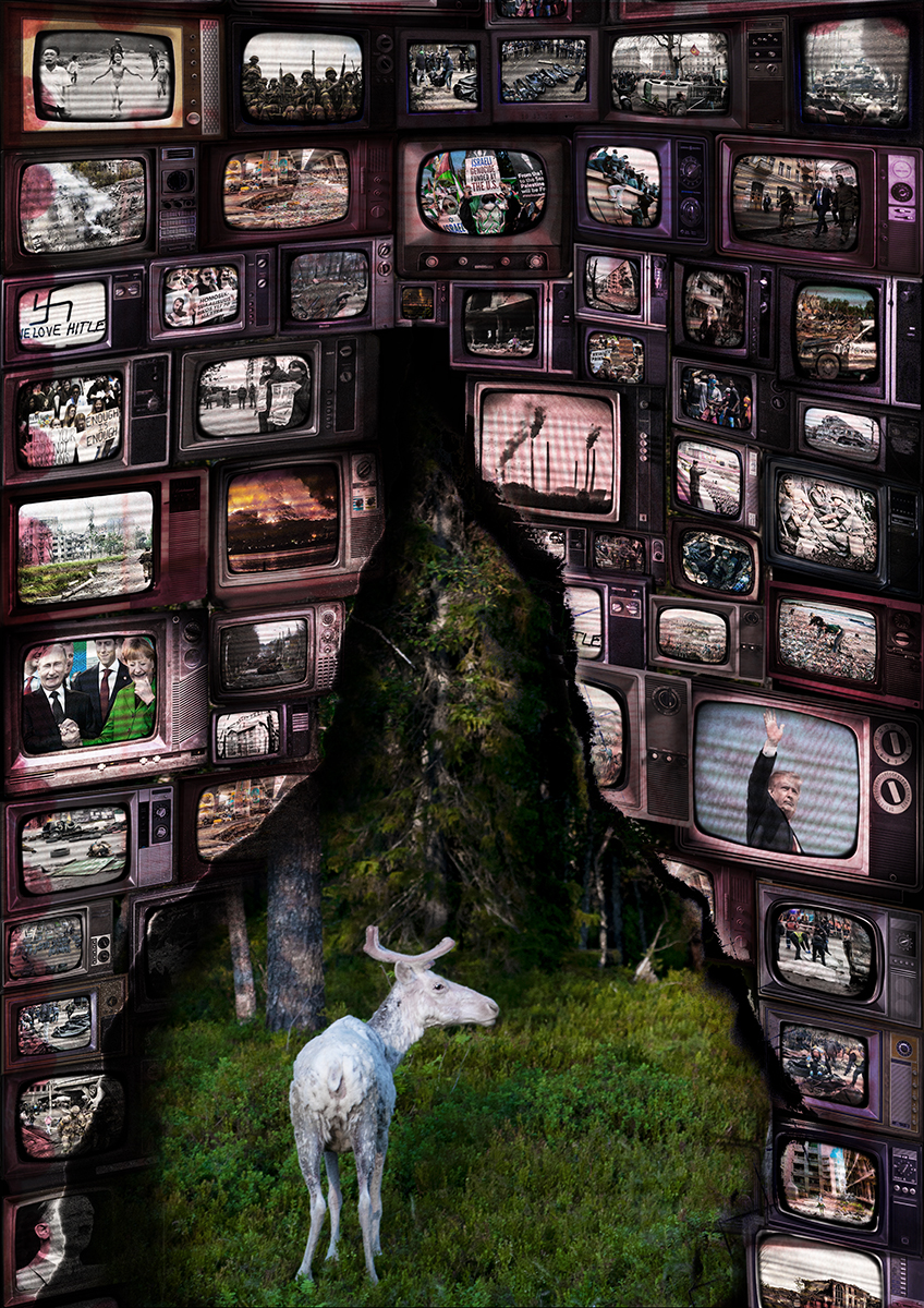 A white deer stands on green grass in a forest clearing, surrounded by a border of old televisions displaying black-and-white and colored images of historical events, protests, political figures, and wars, creating a contrast between nature and media's portrayal of human conflict.