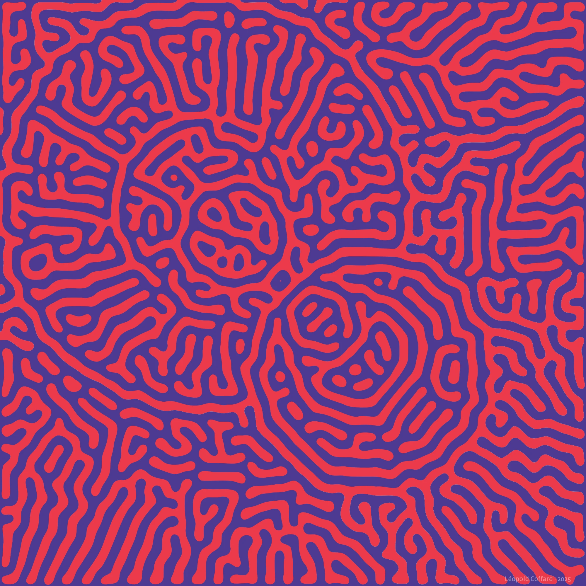 Abstract maze-like pattern with winding purple lines on a red background.