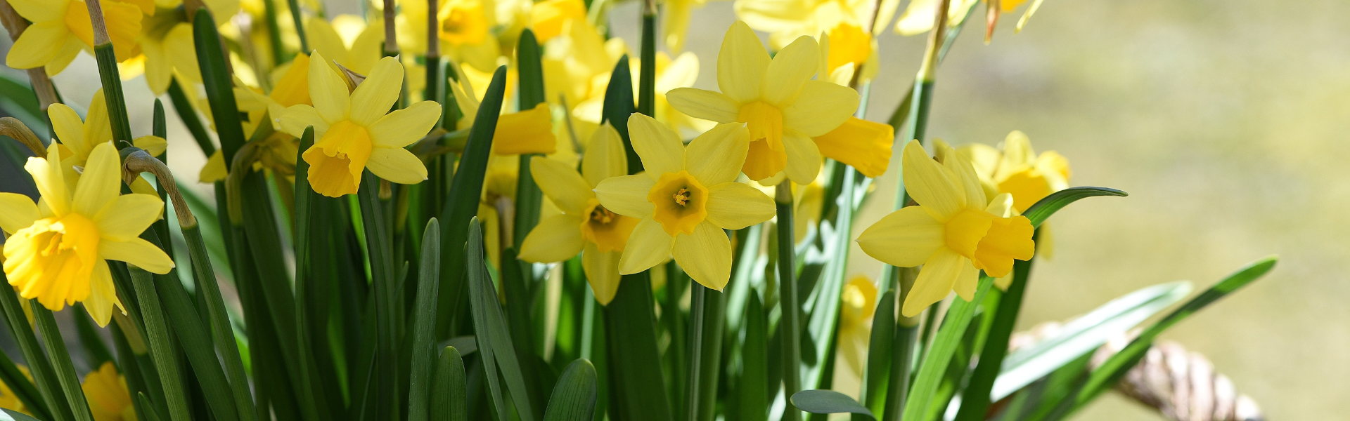 Spring Clean Your CV: 2026 Resume Tips for Manufacturing & Engineering Professionals