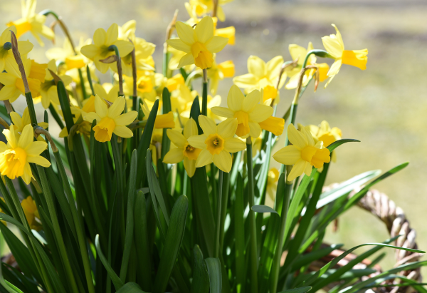 Spring Clean Your CV: 2026 Resume Tips for Manufacturing & Engineering Professionals