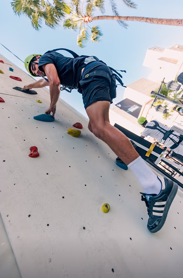 Person wearing a helmet and harness climbing an outdoor rock climbing wall under a palm tree.
